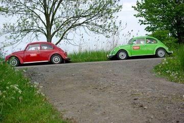Zdjęcie 218