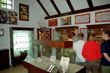 Zdjęcie 220