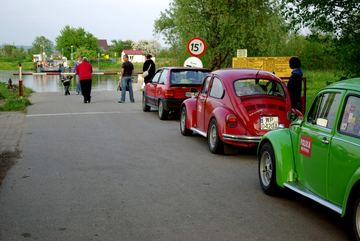 Zdjęcie 233