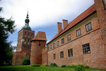Zdjęcie 248