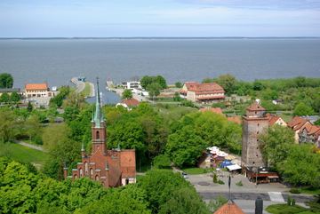 Zdjęcie 254