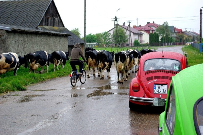 Rajd 4000 - Pomorze – zdjęcie 265