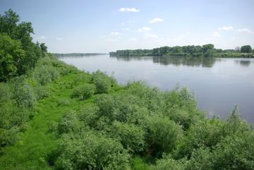 Zdjęcie 32