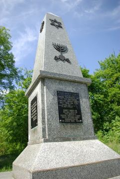 Zdjęcie 38