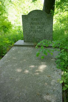Zdjęcie 40