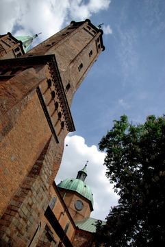 Zdjęcie 56