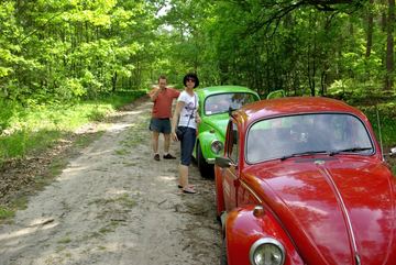 Zdjęcie 62