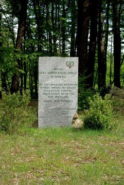 Zdjęcie 63