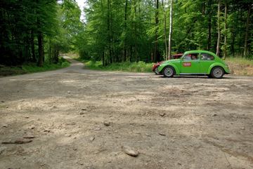 Zdjęcie 65