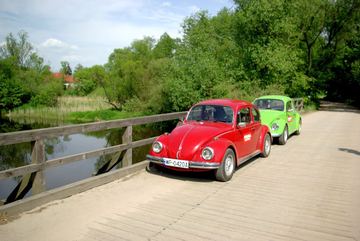 Zdjęcie 74