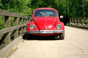 Zdjęcie 75