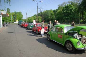Zdjęcie 8