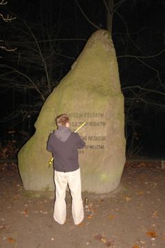 Zdjęcie 110