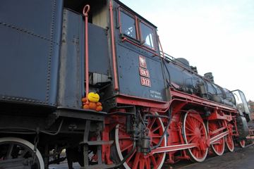 Zdjęcie 116