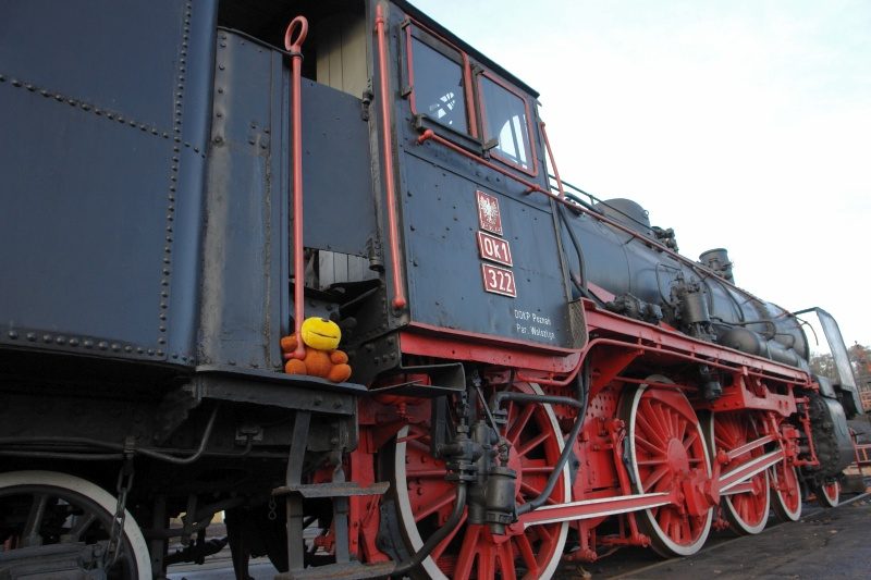 Rajd 4000 - Zachod – zdjęcie 116