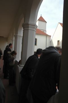 Zdjęcie 151