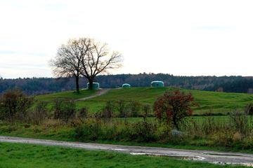Zdjęcie 163