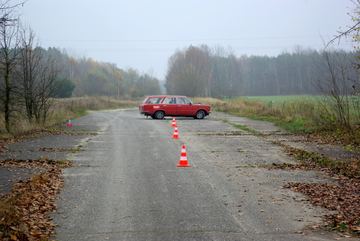 Zdjęcie 215