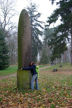 Zdjęcie 227