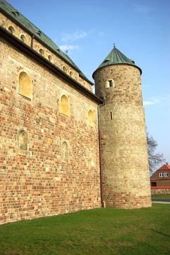 Zdjęcie 233