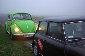 Zdjęcie 245