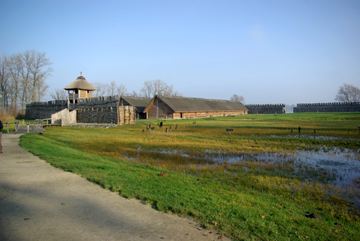 Zdjęcie 251