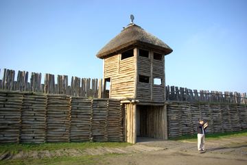 Zdjęcie 253