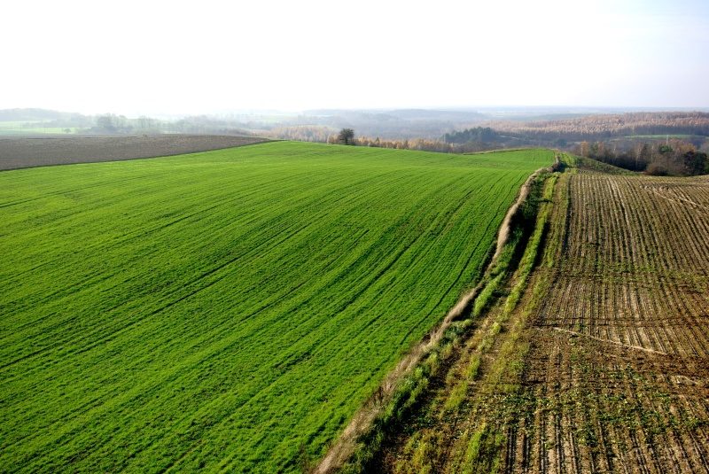 Rajd 4000 - Zachod – zdjęcie 260