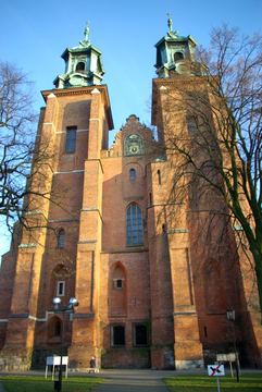 Zdjęcie 262