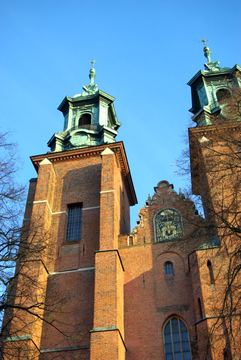 Zdjęcie 263