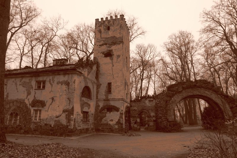 Rajd 4000 - Zachod – zdjęcie 48