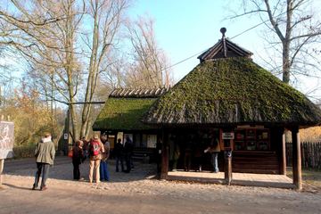 Zdjęcie 74