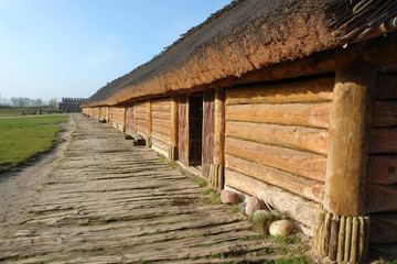 Zdjęcie 84