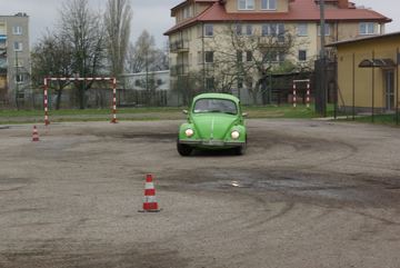 Zdjęcie 157