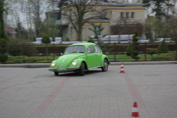 Zdjęcie 181