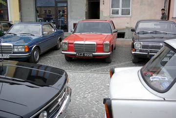 Zdjęcie 194
