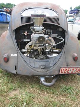 Zdjęcie 196