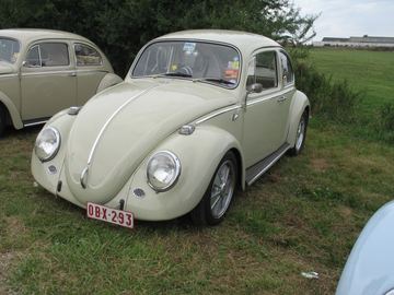 Zdjęcie 205