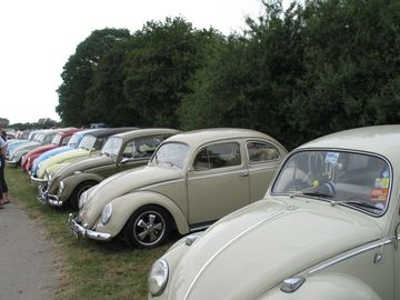 Zdjęcie 206