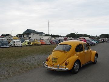 Zdjęcie 207