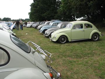 Zdjęcie 212