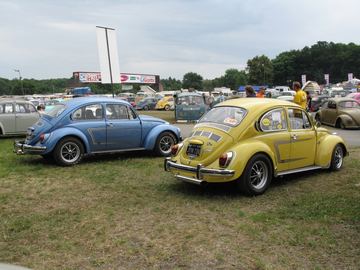 Zdjęcie 217