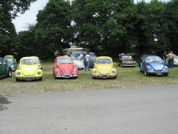 Zdjęcie 220