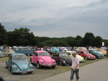 Zdjęcie 223