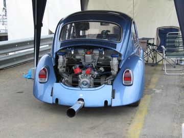 Zdjęcie 239