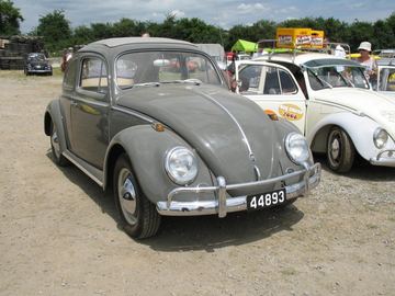 Zdjęcie 278