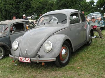 Zdjęcie 280