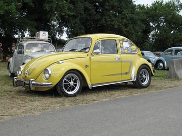 Zdjęcie 282