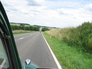 Zdjęcie 294