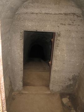 Zdjęcie 320
